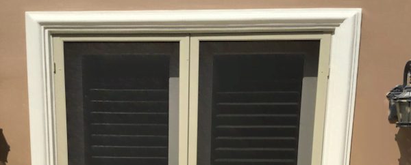 Swinging screen door with pneumatic closer